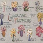 banner image of flowers