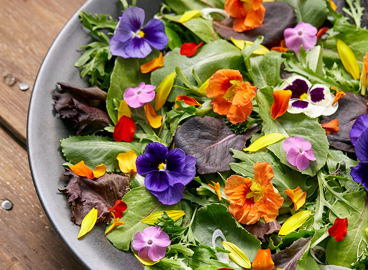 Exploring the Culinary Delights of Edible Flowers