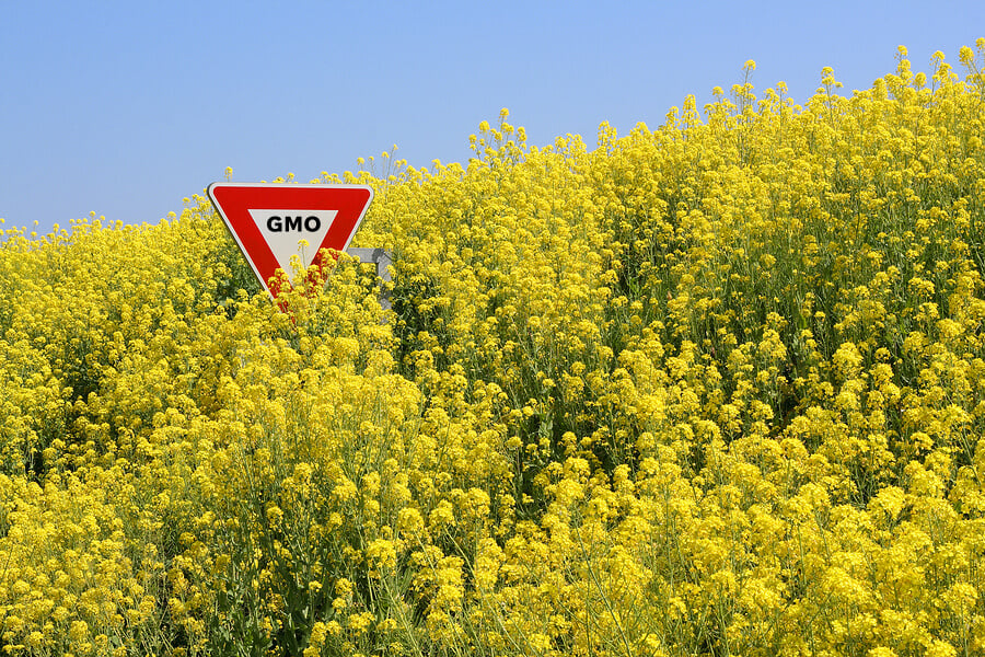 GMO sign in nature