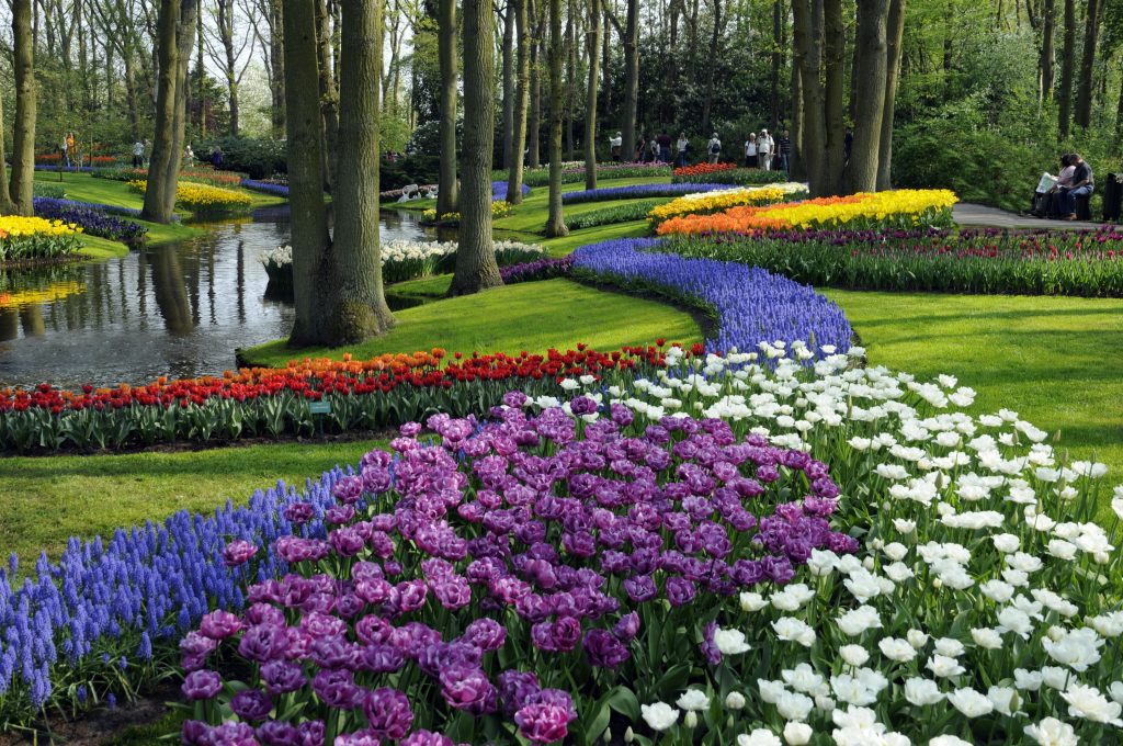 Keukenhof Gardens