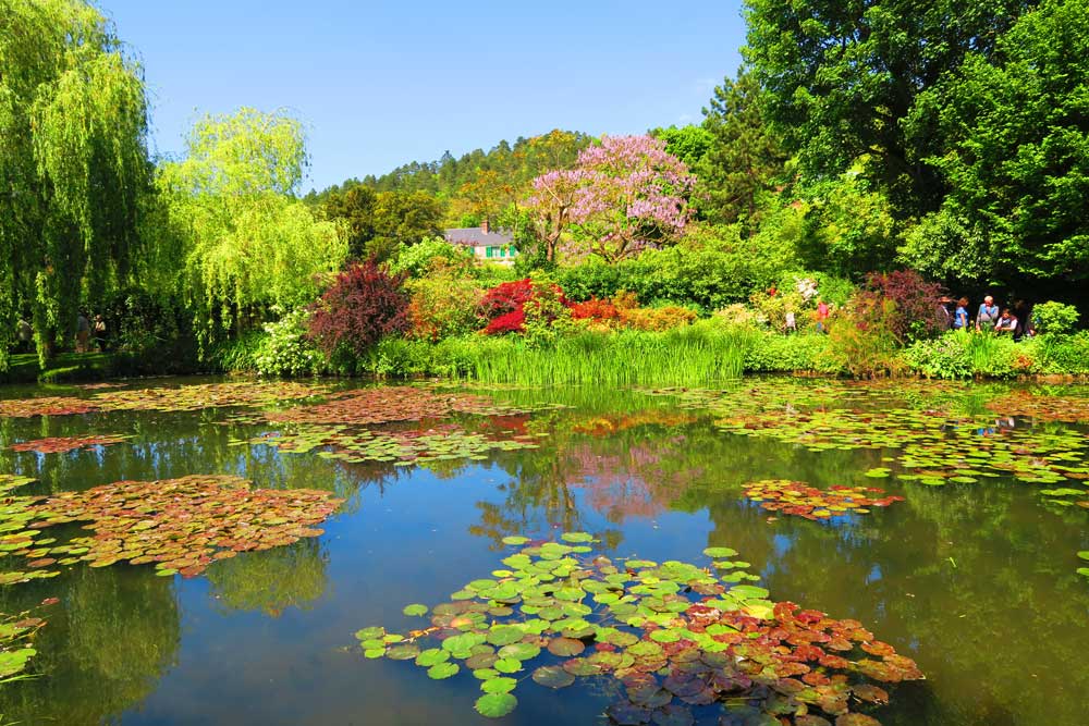 Monet's Garden Giverny France